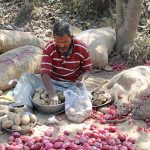 Street vendor