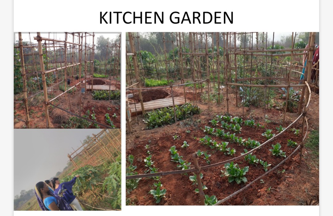 Kitchen Garden-2