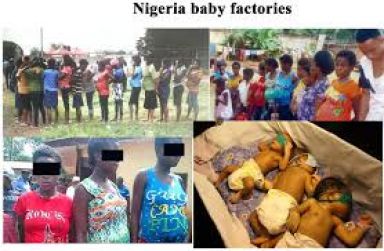 Nigeria baby factory