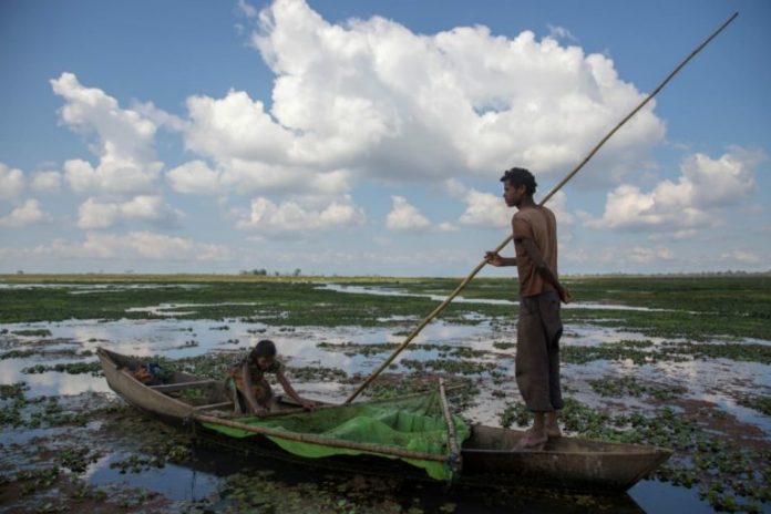 The Maguri beel in upper Assam has been the main source of food and sustenance for the people who live around it. Photo by Jitendra Raj Bajracharya/ICIMOD.