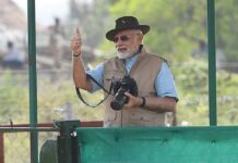 Prime Minister Narendra Modi poses after opening the quarantine enclosure's door to release the cheetahs at Kuno National Park in Madhya Pradesh. (Via PM's Office)